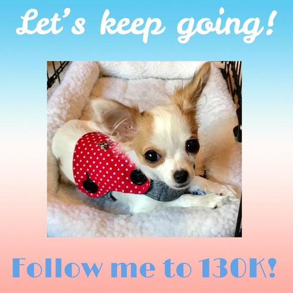 💜 Follow me to 250K! 💗 - Picture 6 of 12